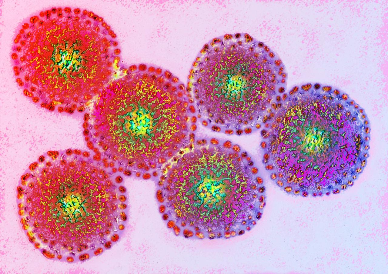 Az influenza titkos fegyvere: géncsere a fajok között