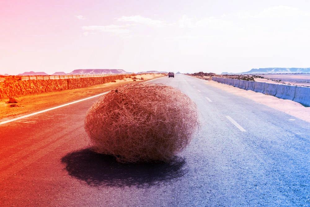 Az MI-cunami az internet végét jelentheti