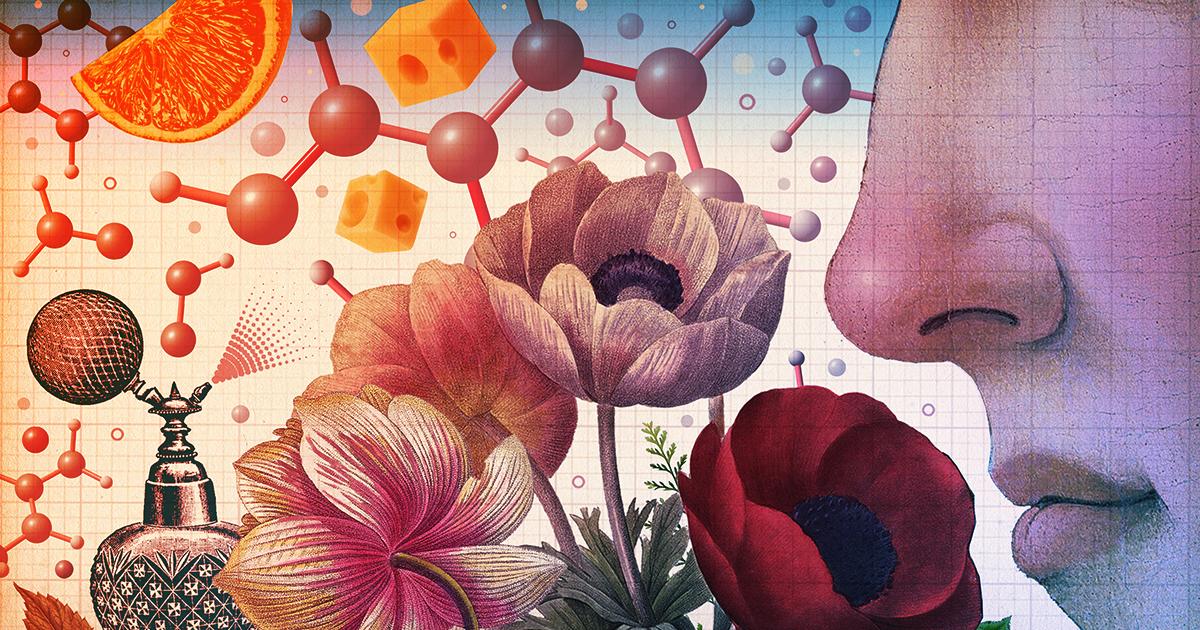 Az orrunk mindent eldönt – észre sem vesszük, pedig talán jobb is így