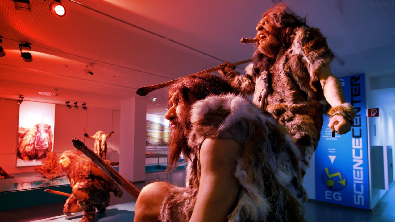 Az ősember zsírfeldolgozó üzeme: így éltek túl a neandervölgyiek