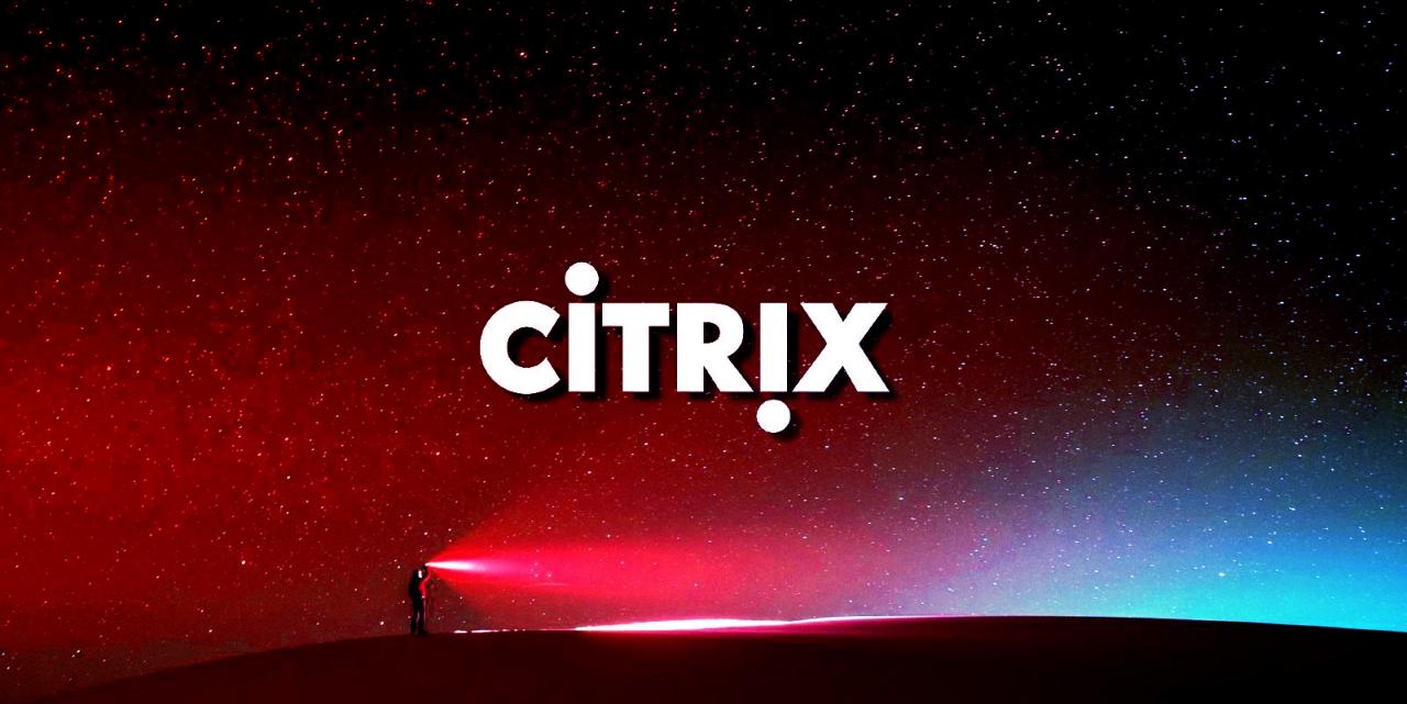 Az új Citrix Bleed 2 sebezhetőség: gond van a kapuknál