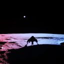 Siker! A Blue Ghost sikeresen landolt a Hold felszínén