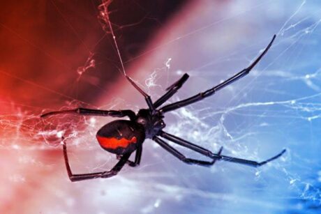 Sokk! Így húzza le a cégeket a Scattered Spider zsarolóhadsereg