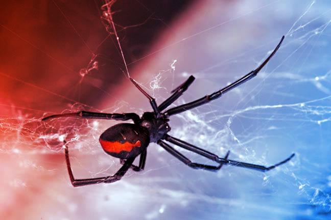 Sokk! Így húzza le a cégeket a Scattered Spider zsarolóhadsereg