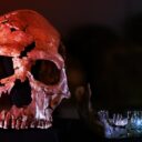 Sokkoló felfedezés: ősemberi gének miatt torzul az agyunk?