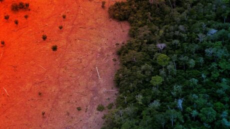 Veszélyben az Amazonas, esőerdő helyett szavanna jöhet